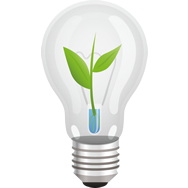 Save Energy Save Money Save The Environment